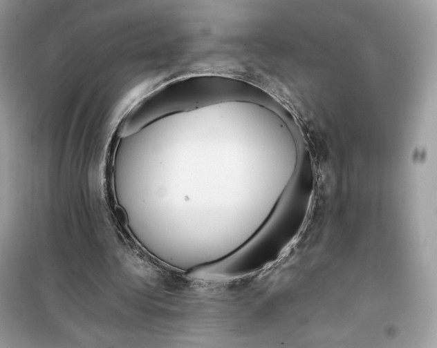 X0000099230340200805221841