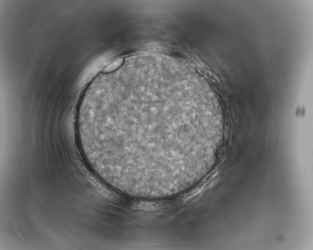 X0000099230341200805221841