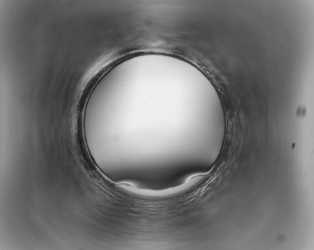 X0000099230344200805221841