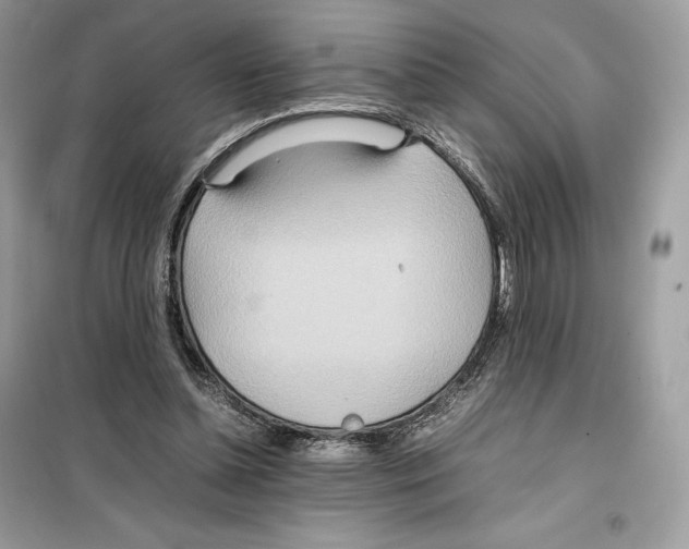 X0000099230348200805221841