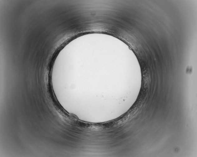 X0000099230350200805221841