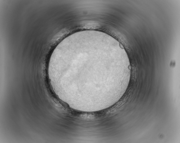 X0000099230354200805221841