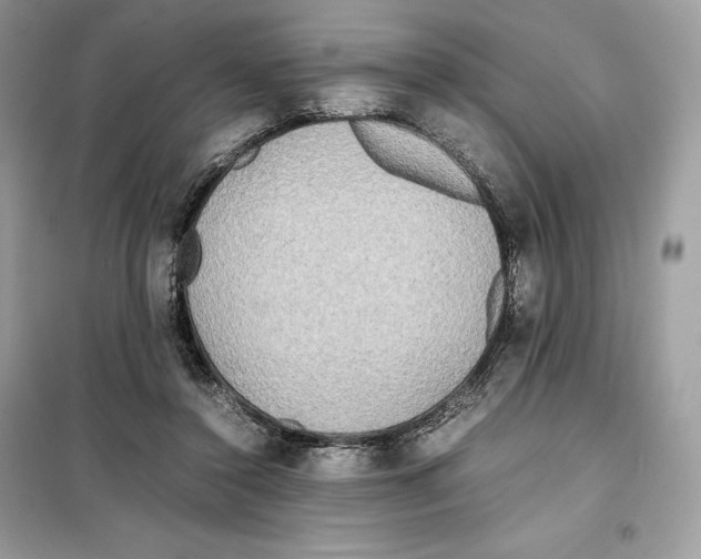 X0000099230356200805221841