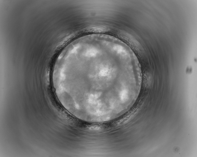 X0000099230358200805221841