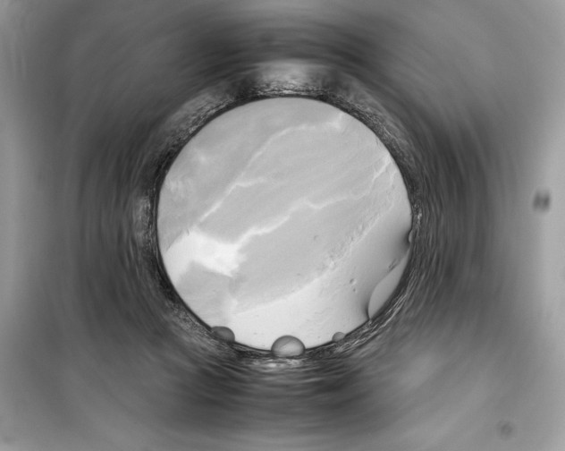 X0000099230361200805221841