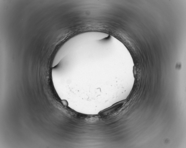 X0000099230362200805221841