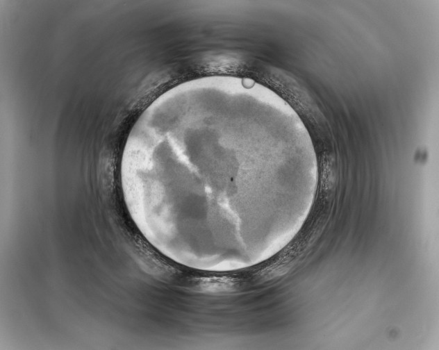 X0000099230363200805221841