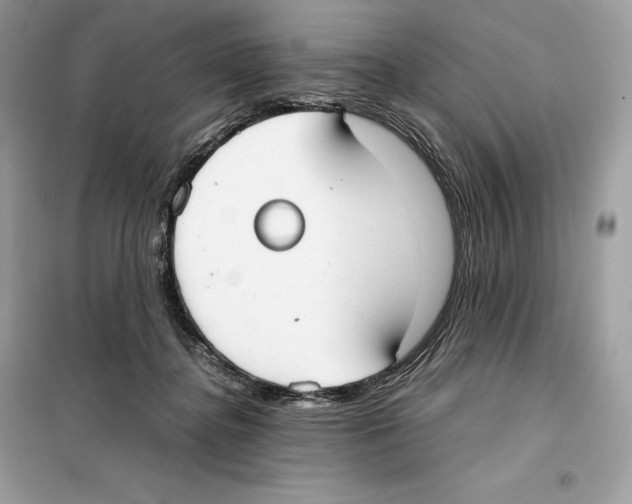 X0000099230364200805221841