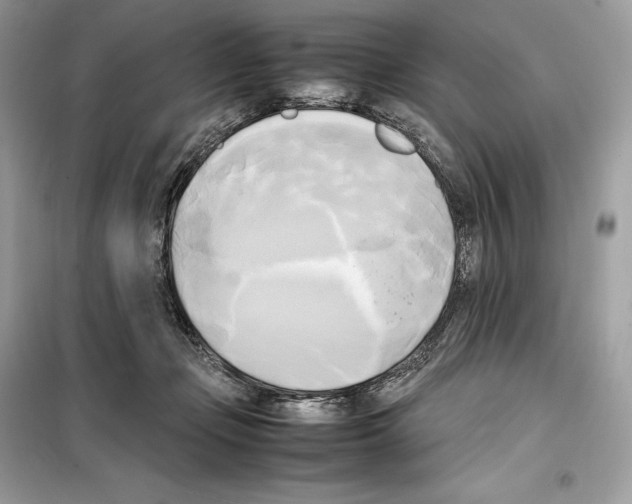 X0000099230365200805221841