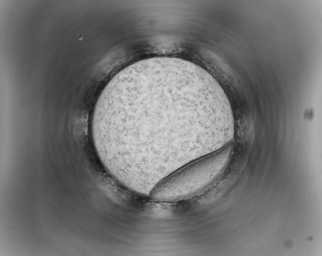 X0000099230368200805221841