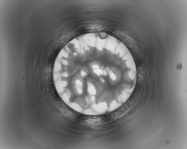 X0000099230369200805221841