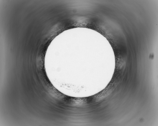 X0000099230370200805221841