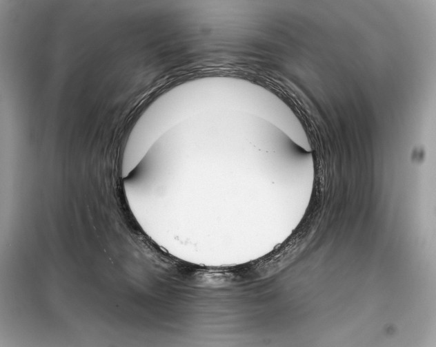 X0000099230372200805221841