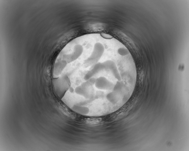 X0000099230373200805221841