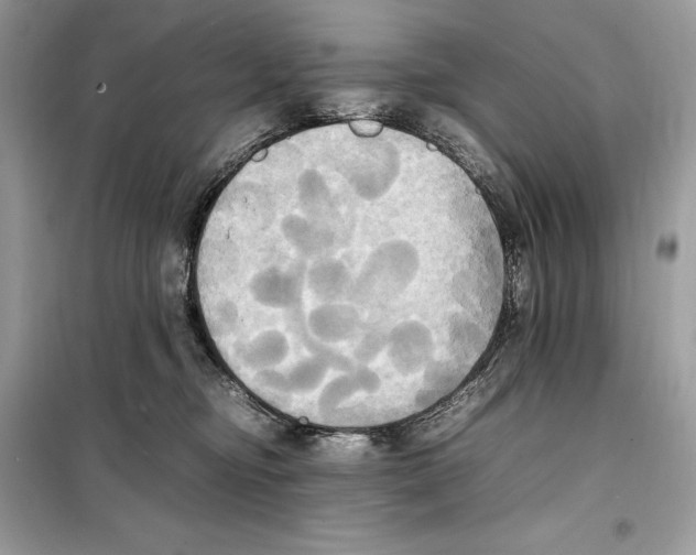 X0000099230374200805221841