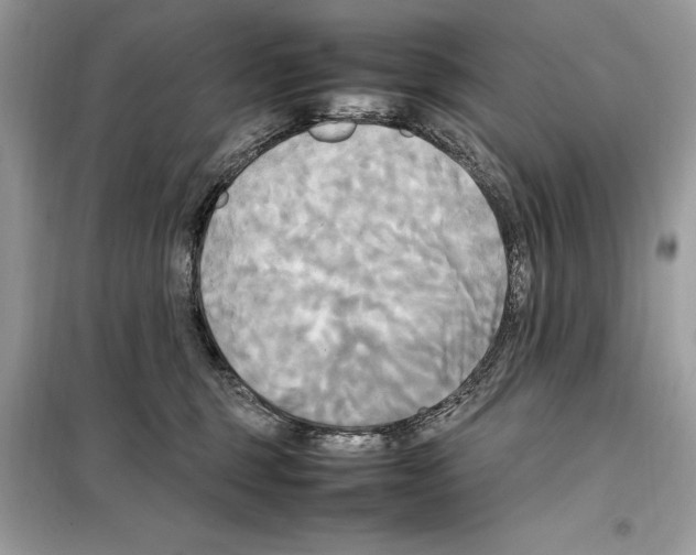 X0000099230375200805221841