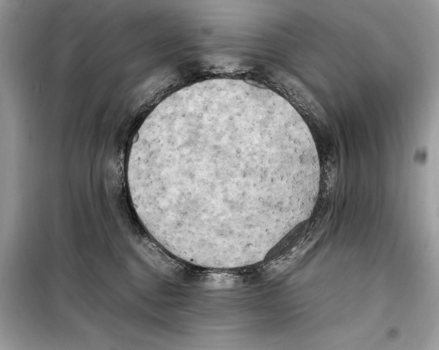 X0000099230376200805221841