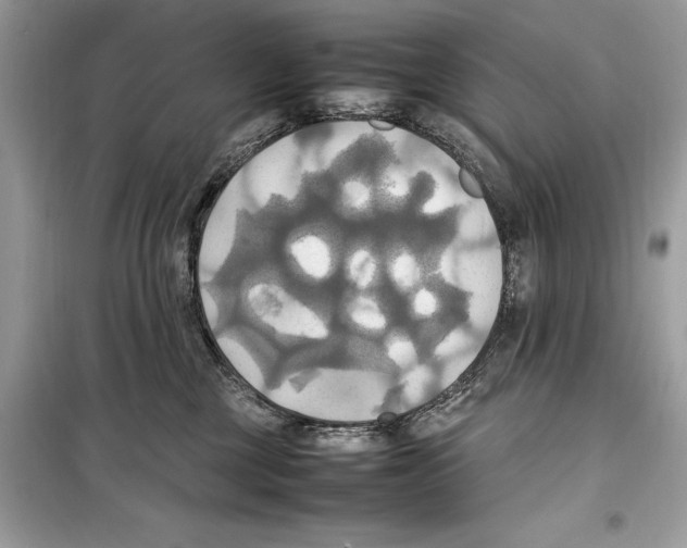 X0000099230377200805221841