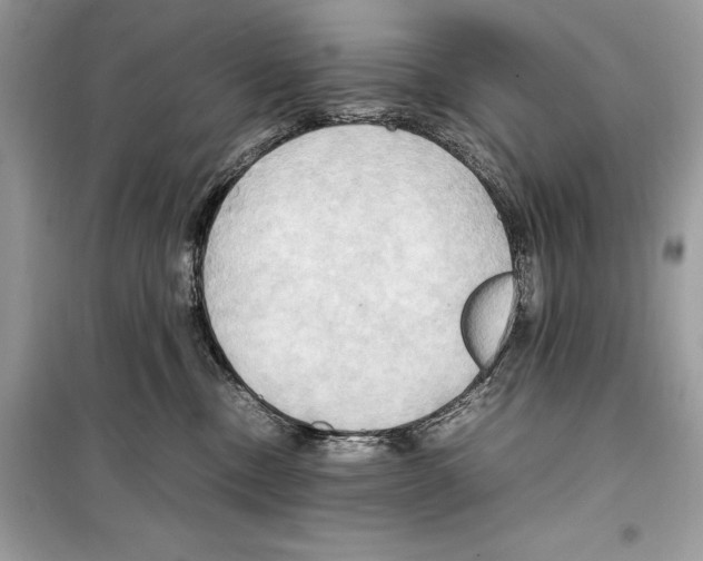 X0000099230378200805221841