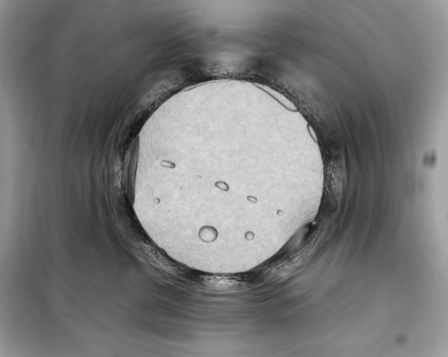 X0000099230380200805221841