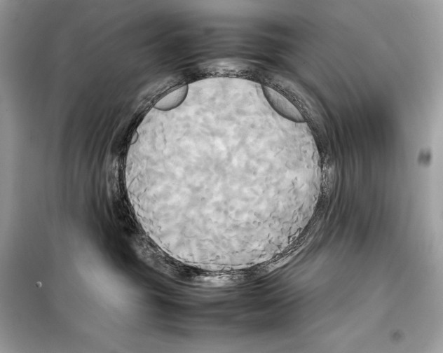 X0000099230381200805221841