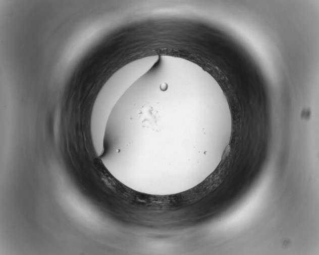 X0000099230382200805221841