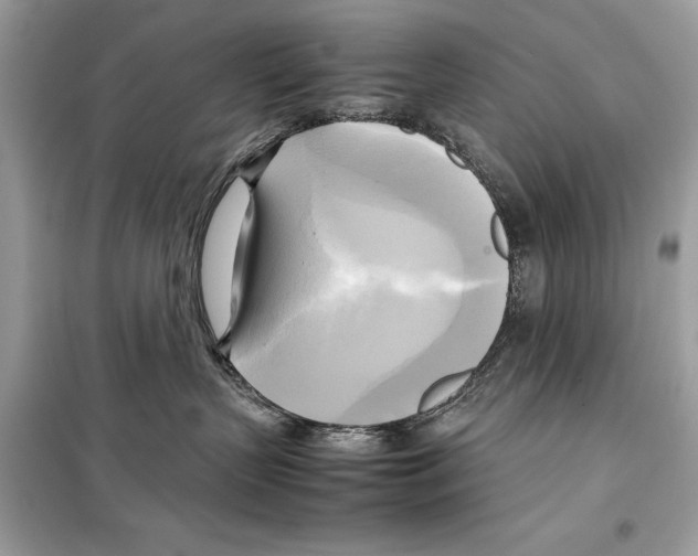 X0000099230383200805221841