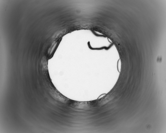 X0000099230384200805221841