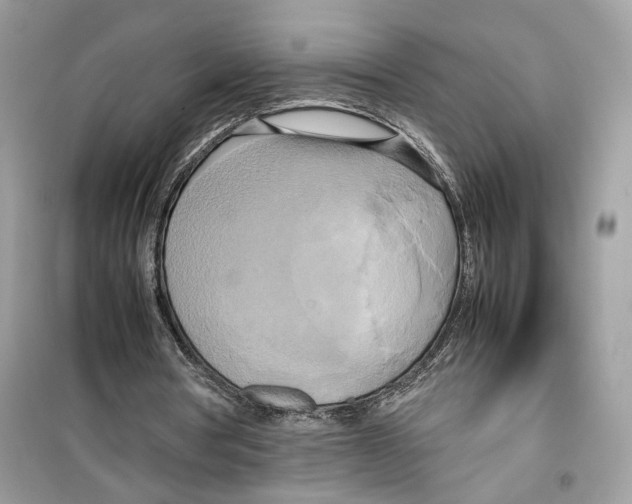 X0000099230386200805221841