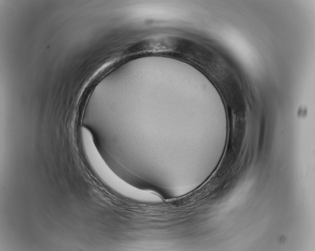 X0000099230387200805221841