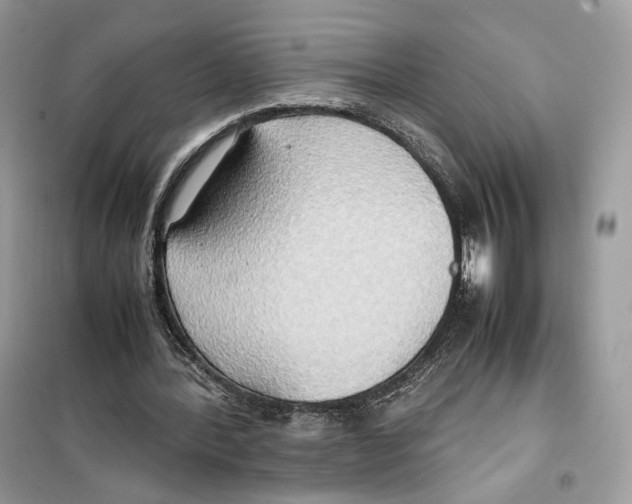 X0000099230388200805221841