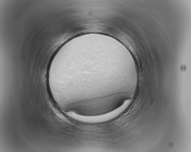 X0000099230389200805221841