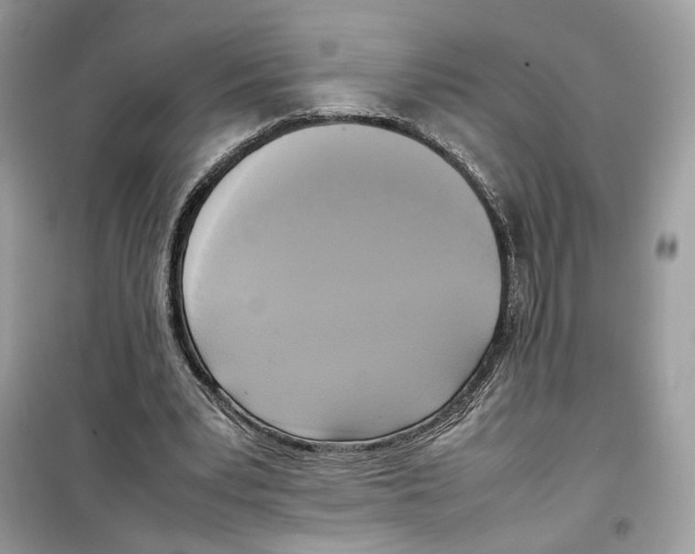 X0000099230391200805221841