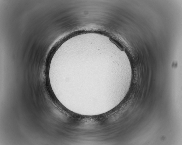 X0000099230392200805221841