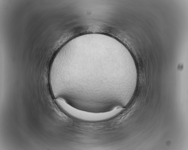 X0000099230393200805221840