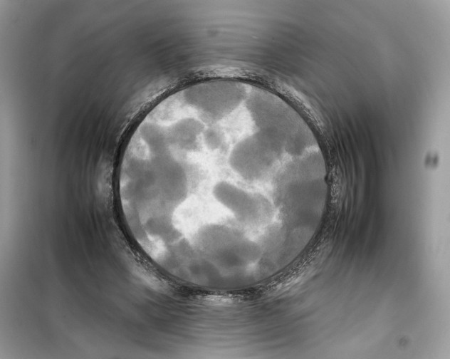 X0000099230394200805221840