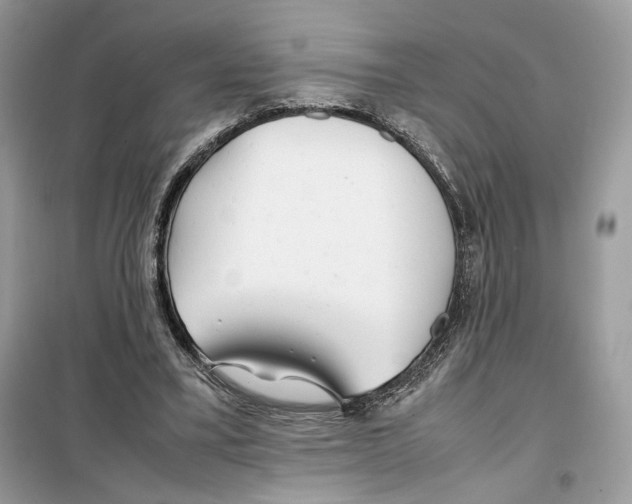 X0000099230395200805221840