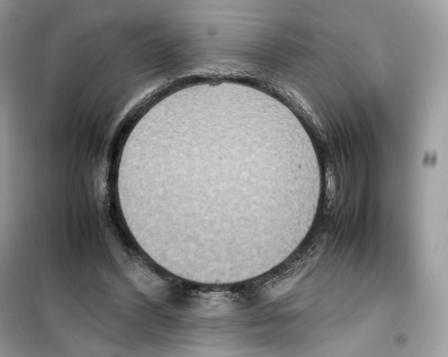 X0000099230396200805221840