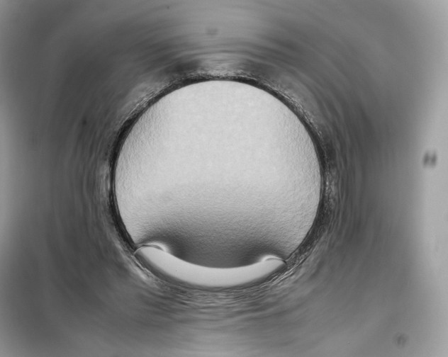 X0000099230397200805221840