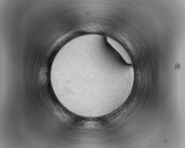 X0000099230400200805221840