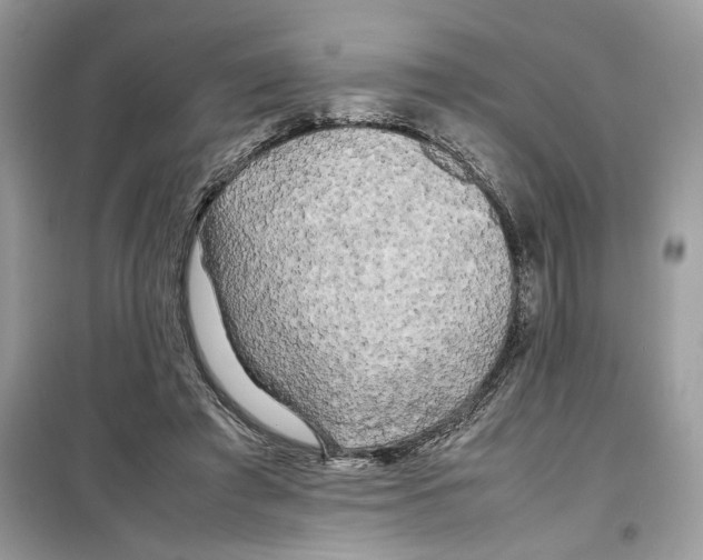 X0000099230401200805221840