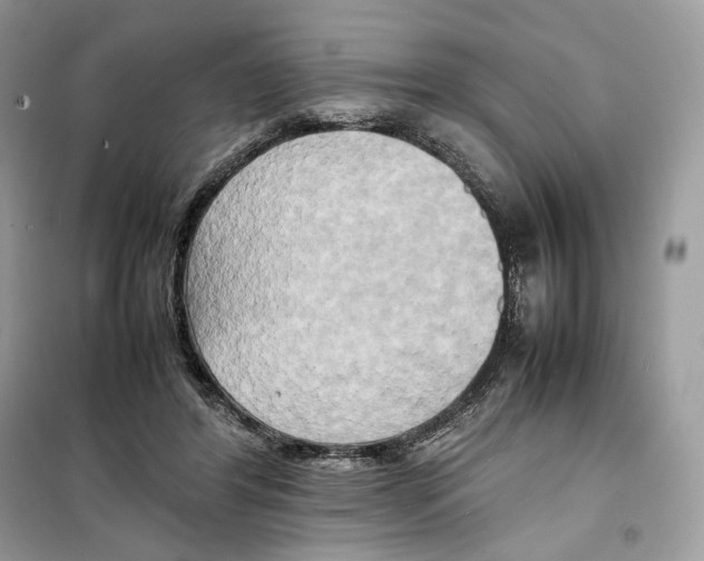 X0000099230404200805221840