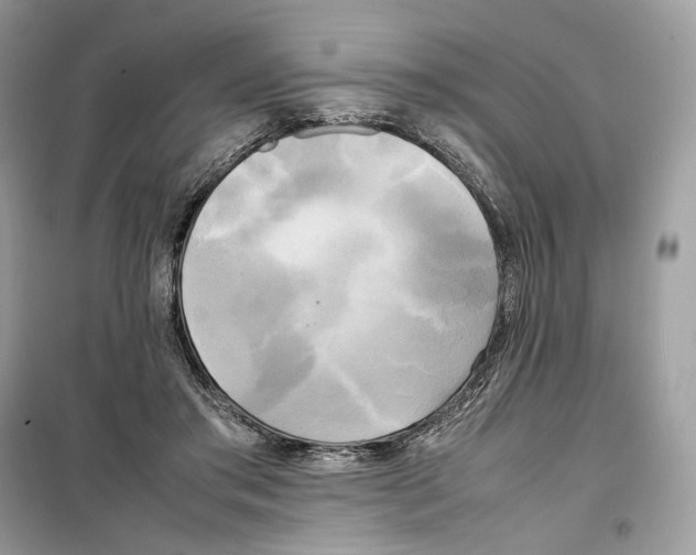 X0000099230405200805221840