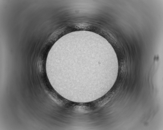 X0000099230408200805221840