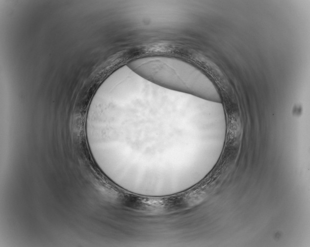 X0000099230409200805221840