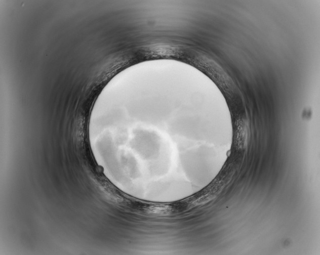 X0000099230410200805221840