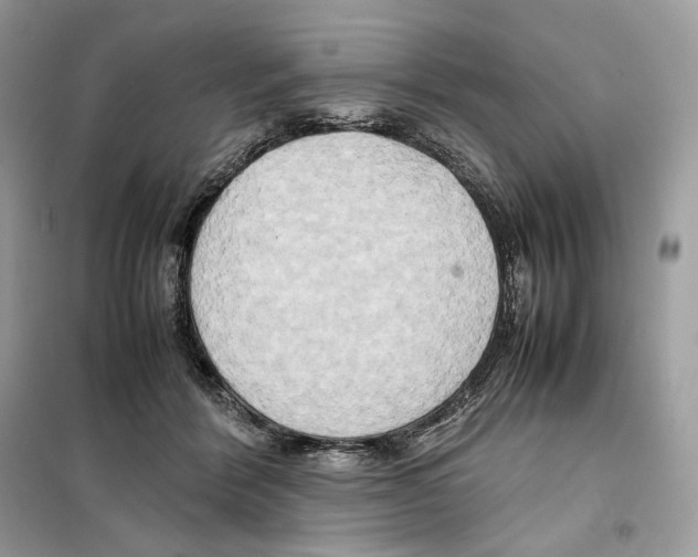 X0000099230412200805221840