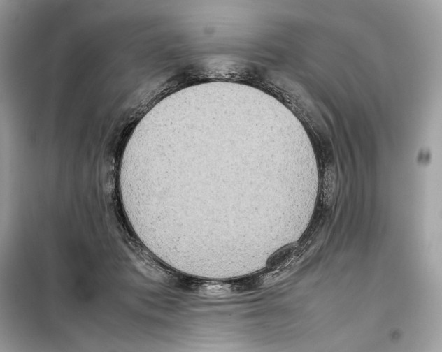 X0000099230413200805221840