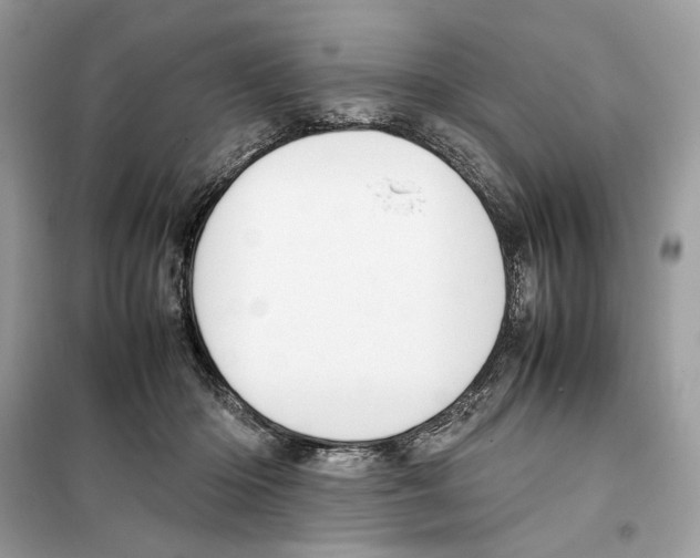 X0000099230414200805221840