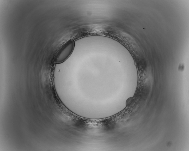 X0000099230415200805221840